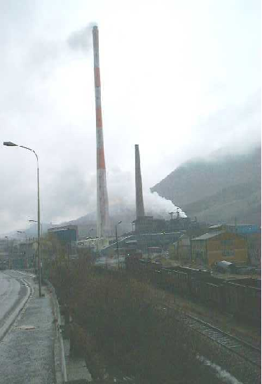 Rota